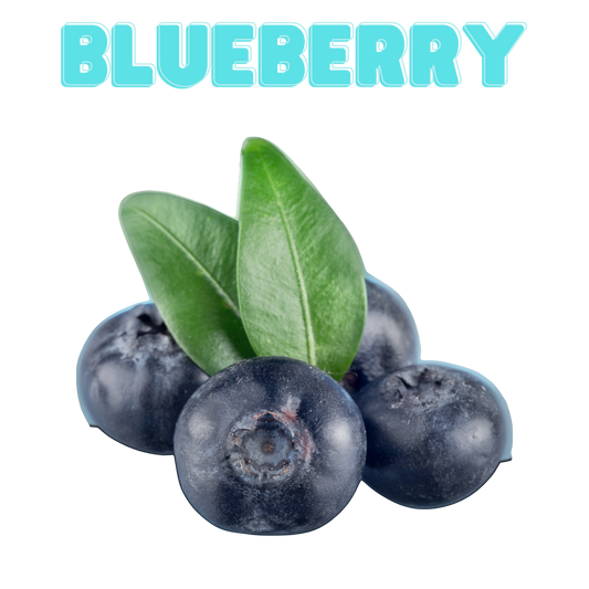 Single Note Blueberry Flavor Concentrate