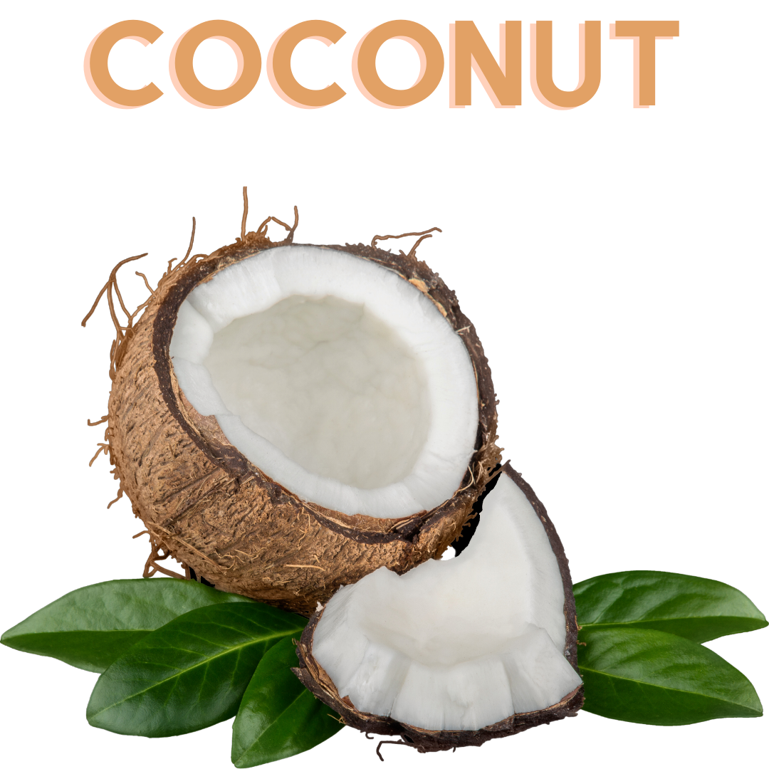 Single Note Coconut Flavor Concentrate – Friendly Send Flavors