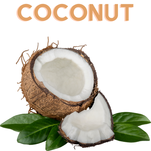 Single Note Coconut Flavor Concentrate